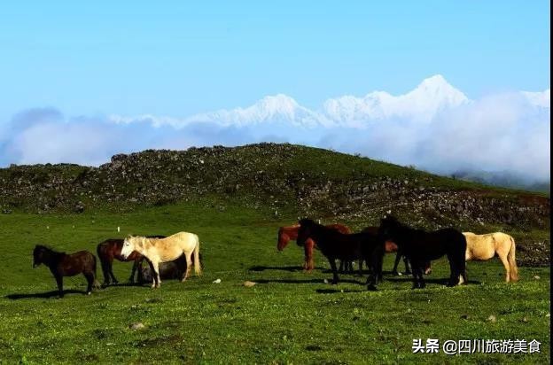 地质工作旅游,一个旅游行业的心声