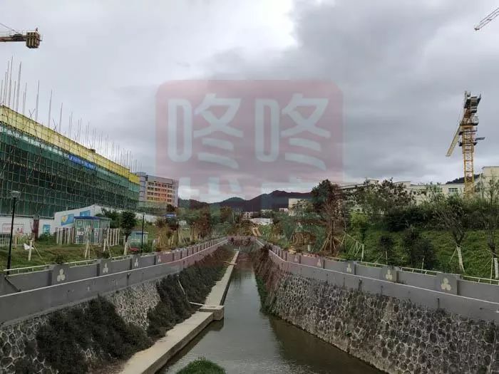 网红片区新楼盘,高端商住区旧改