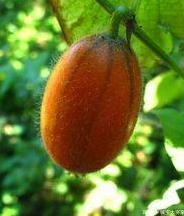 1980年“热词”大赤包克塞号霹雳舞,约等于如今的网红词