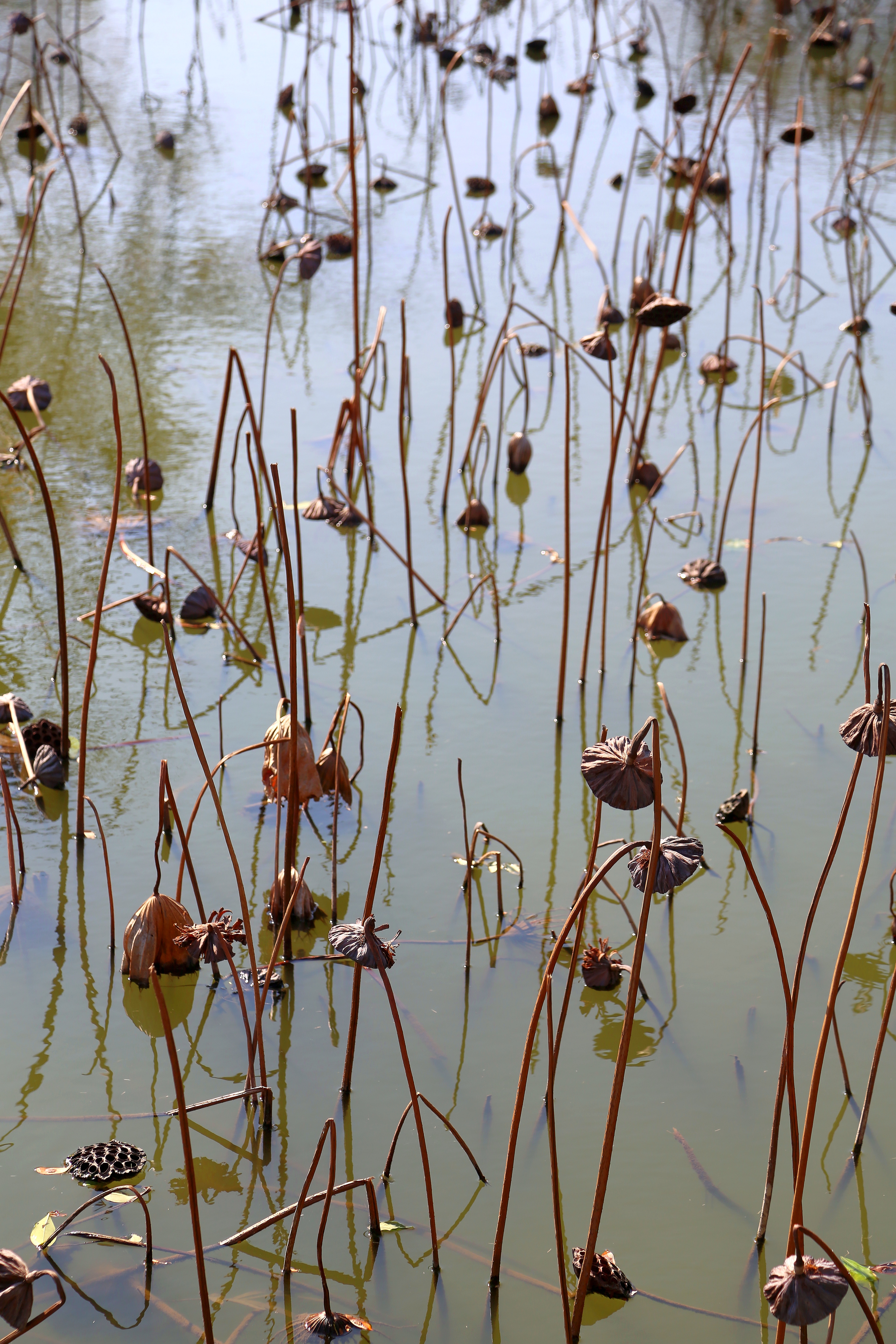 广州马尔代夫海岛旅游攻略,广州马尔代夫旅游景点