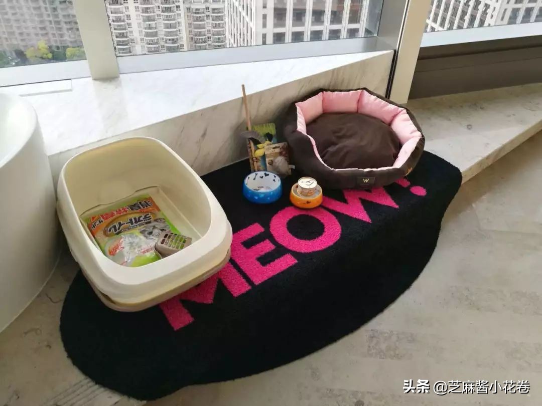 凡尔赛文学其实无处不在,凡尔赛文化盛行