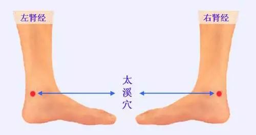 肾虚切忌大补,严重肾虚怎么补肾补脾最快最好