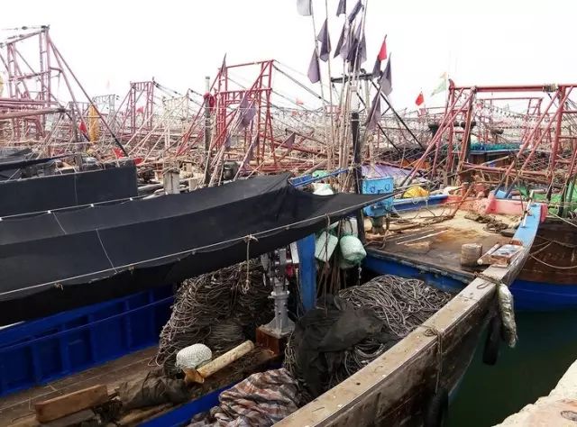 海南省临高县历史,海南临高风土人情