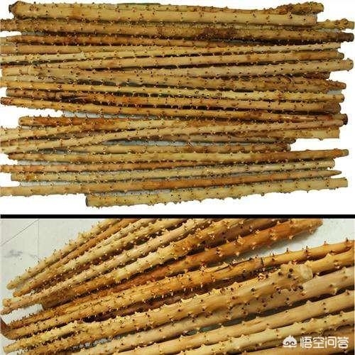 处理山枣木做的拐杖图片,山枣木做拐棍怎么样能变红