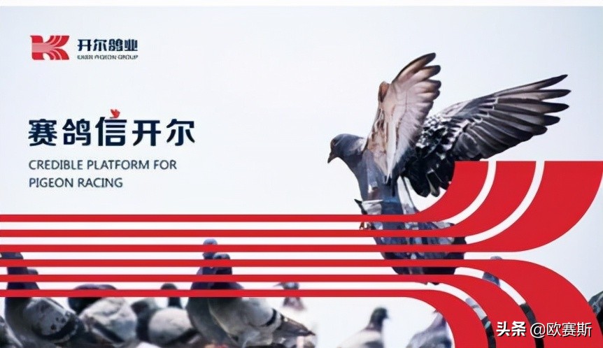 第八届超级品牌日,超级品牌日