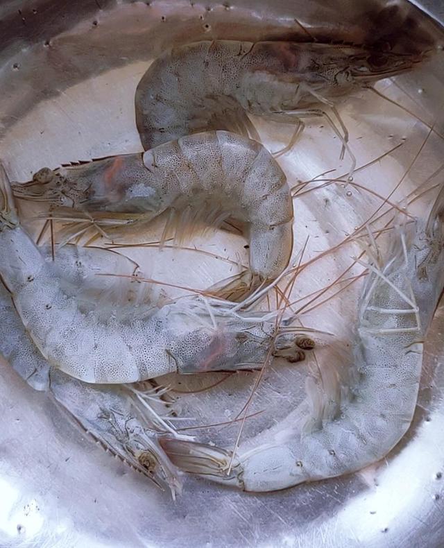 鲜虾冷冻保存时，直接放冰箱就废了！这样做，跟鲜的一样好吃