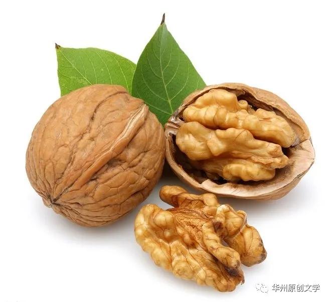 「老敏」漫话核桃