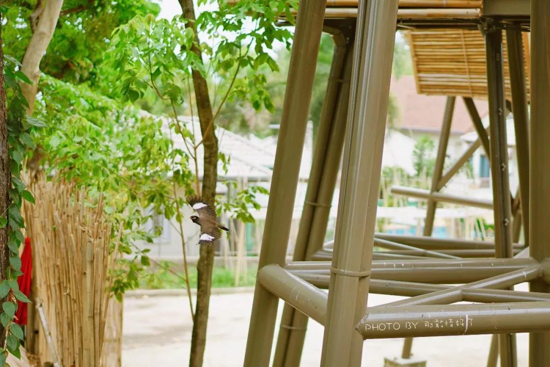 美国艺术家老夫妇定居苏梅岛十年，教游客画垃圾桶，唤醒环保意识