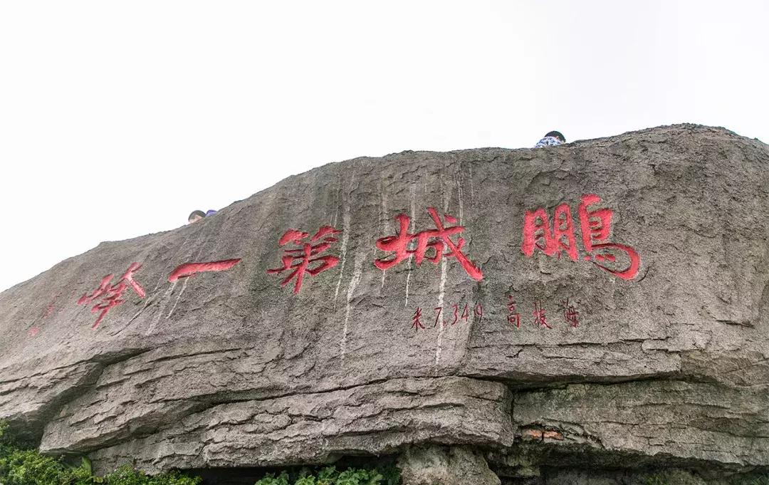 附近莲塘,附近的莲塘