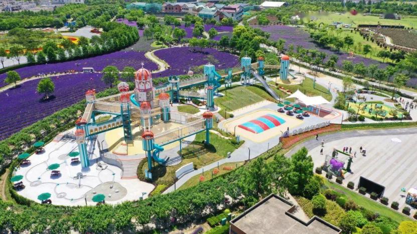 上海最大薰衣草公园,上海薰衣草公园迪士尼