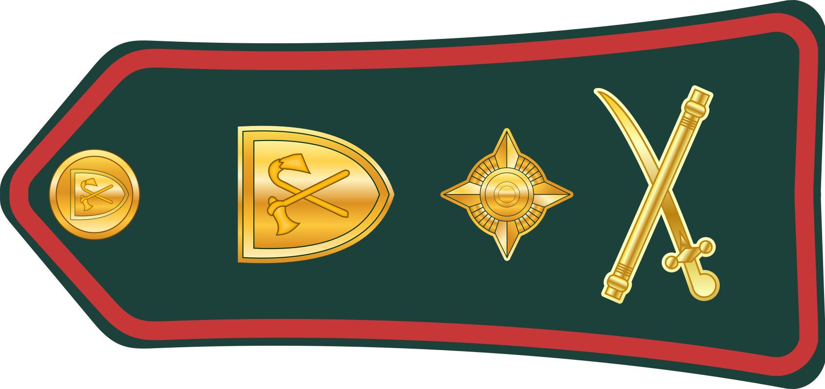 西亚各国军衔,各国军衔标识坦桑尼亚