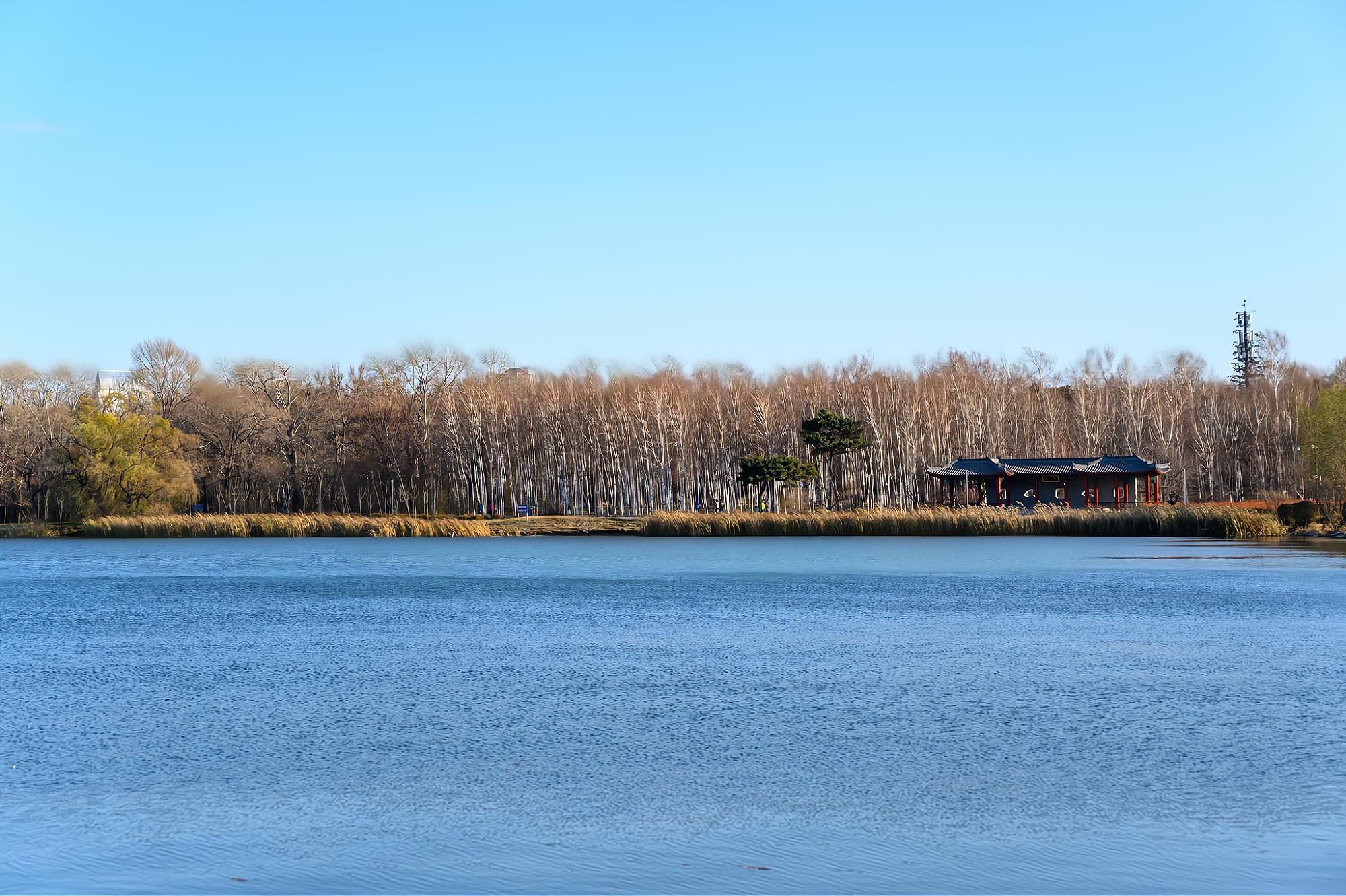长春南湖公园景观简介,长春南湖公园都有哪些美景