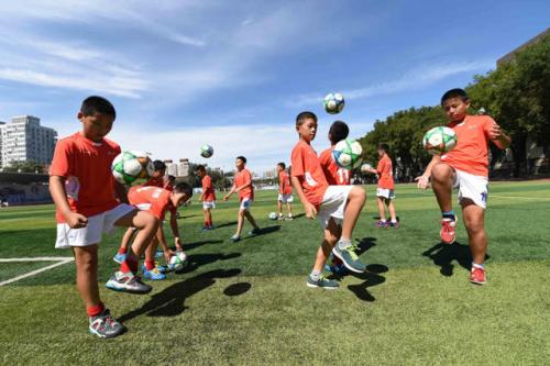 985211足球单招学校名单,985211体育大学足球