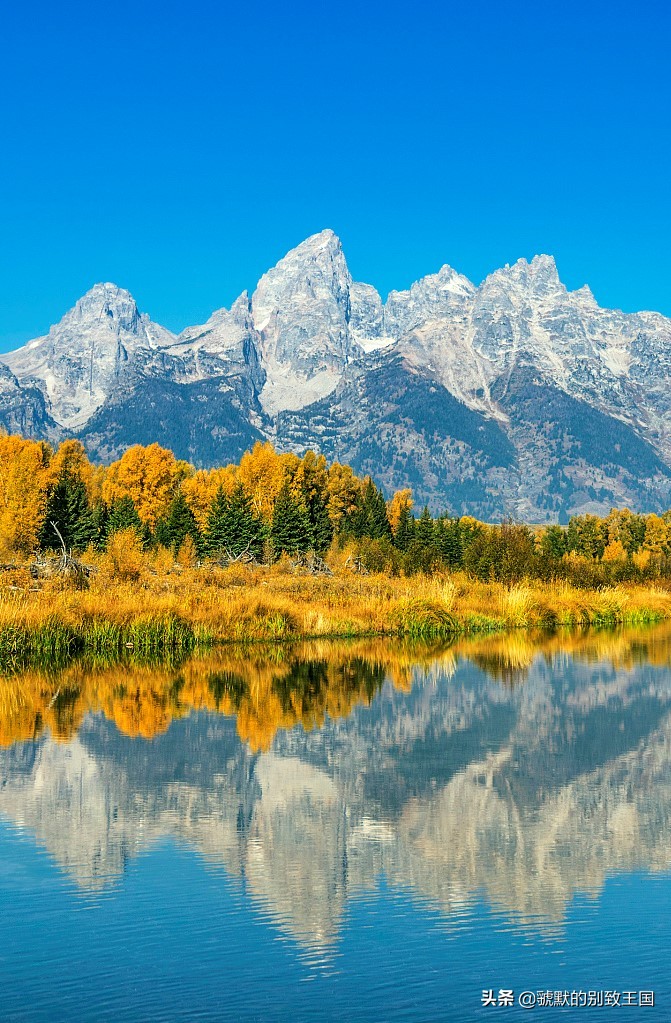 跪网络用语,网络用语舔什么意思