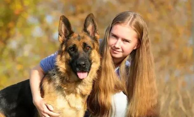 德国牧羊犬凶吗,德国牧羊犬凶不凶