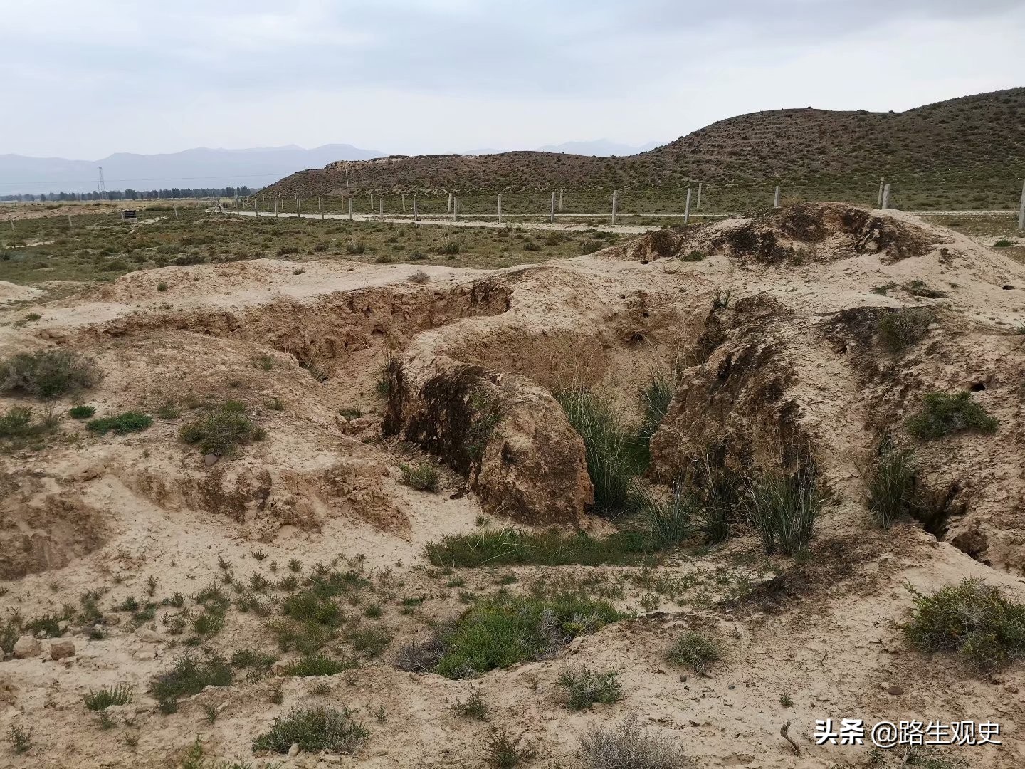 培黎学校真实情况,培黎学校的历史
