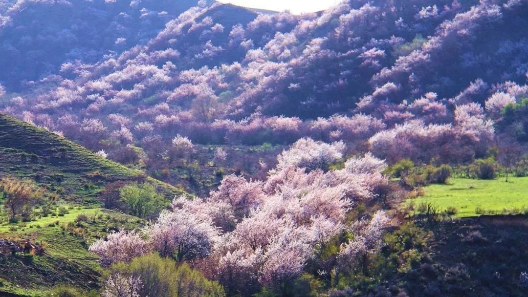 疫情过后再去看看风景,疫情结束后的人间仙境