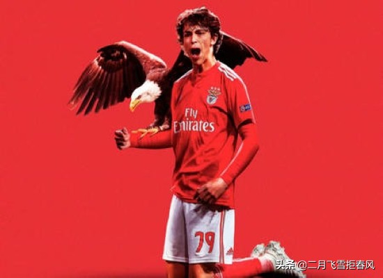 费利克斯是否未来的绝代天骄?小将的坎坷经历和优劣分析