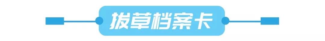 这个双十一你拔草了吗,这个双十一都薅到什么了