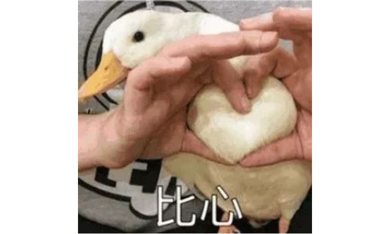 ysl人鱼姬101,ysl人鱼姬眼影液