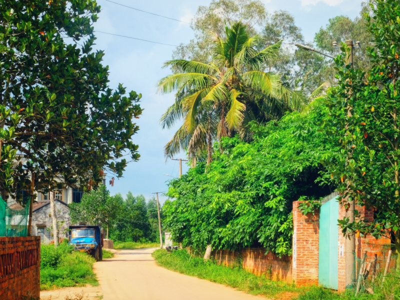 广东湛江旅游攻略赶海,湛江海边旅游攻略推荐地方