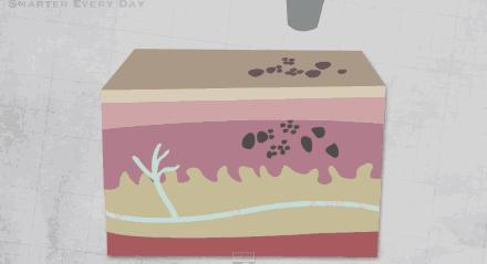 洗纹身之前的注意事项,洗纹身的注意事项和养护