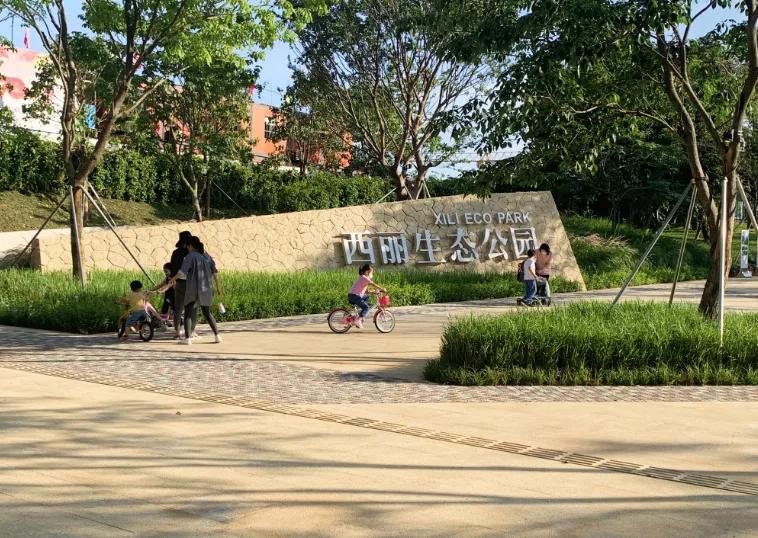 深圳西丽湖潜力,深圳西丽发展前景