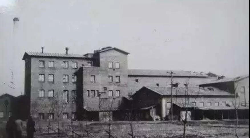 八、九十年代的中国啤酒集合,哈啤、京啤、青啤,有没有你喝过的