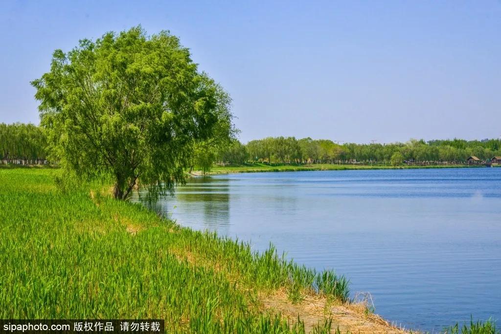 部分免费！北京赏秋“性价比”最高选择都在这儿了！