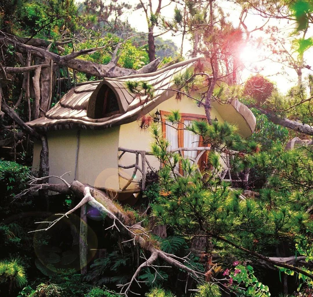 此心安处是吾乡番外篇,此心安处是吾乡21-22预告