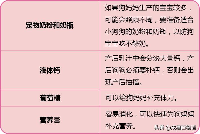 狗狗要生了主人该怎么做,狗狗要生小狗了有什么症状