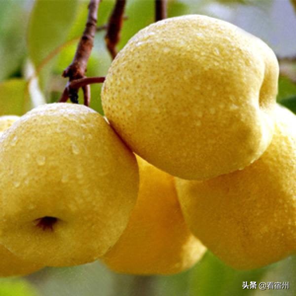 宿州五一旅游攻略,宿州美食风景