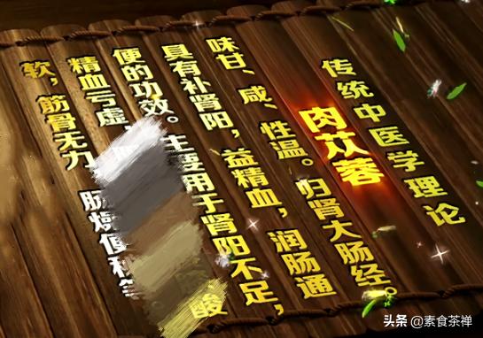 沙漠人参肉苁蓉哪里的最好,肉苁蓉生长环境与沙漠优势