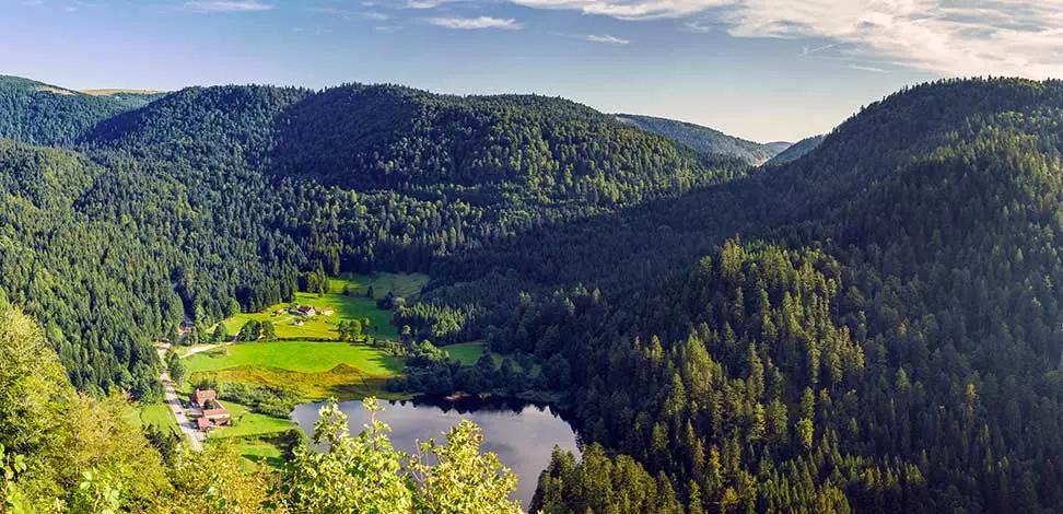 法国名庄酒分级,法国葡萄酒名庄分级