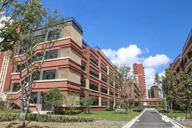 上海有哪些黑马高中,上海名校新校有哪些