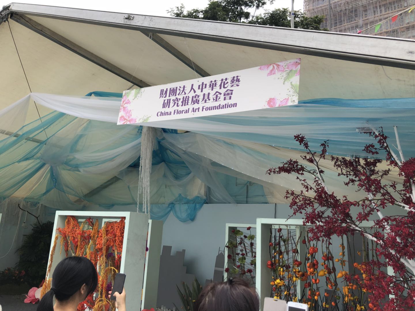 香港花卉艺术展,共赴盛会活动