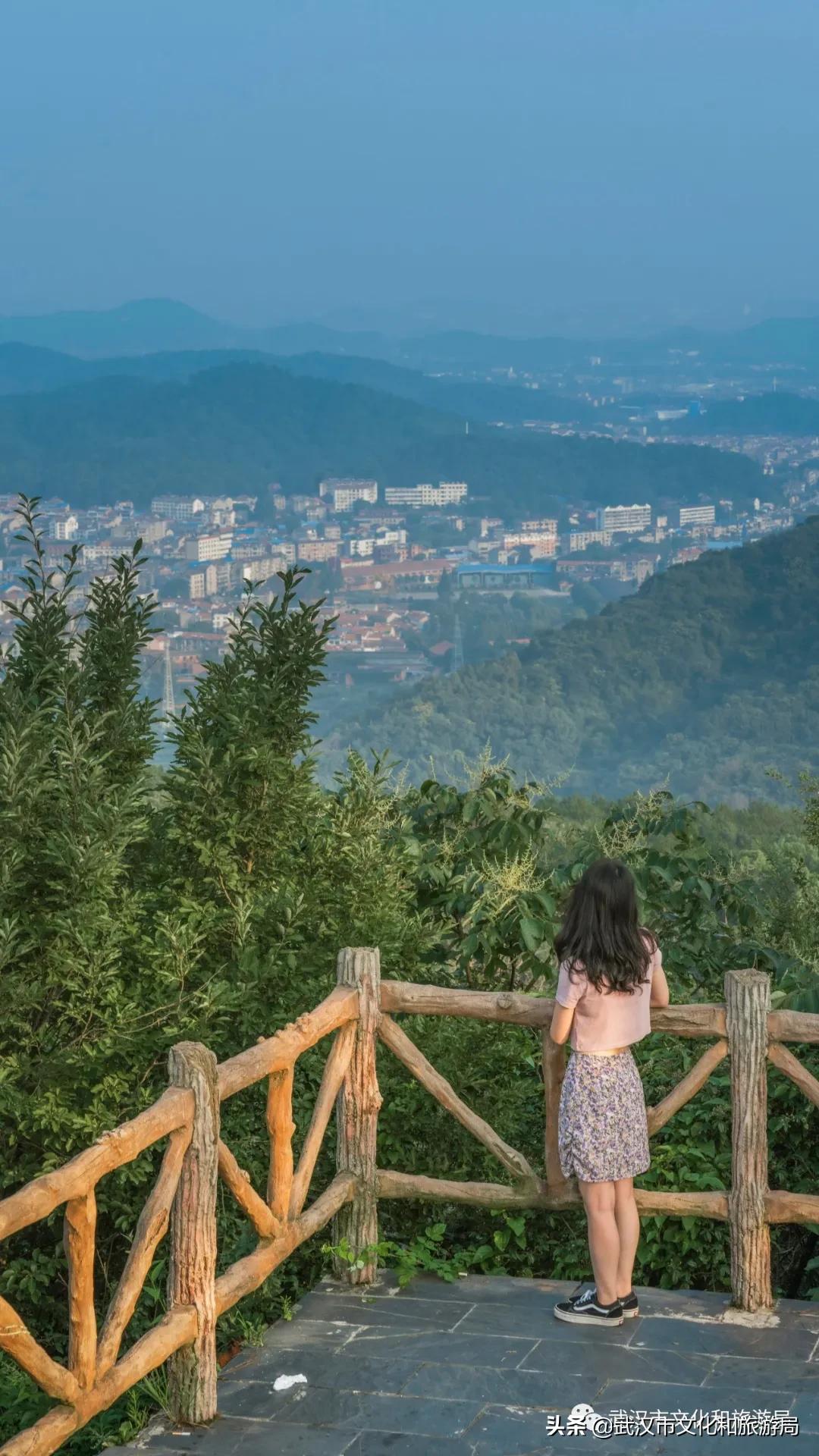 江夏面积多大,关于最美江夏的图片