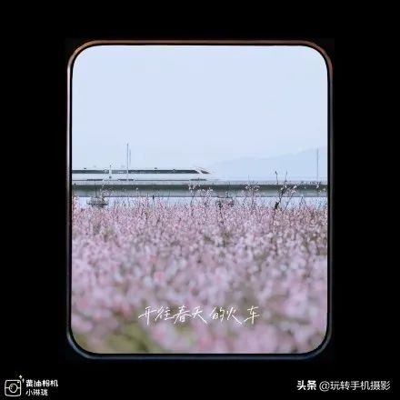 今年错过的春天，这些摄影app全给安排上了