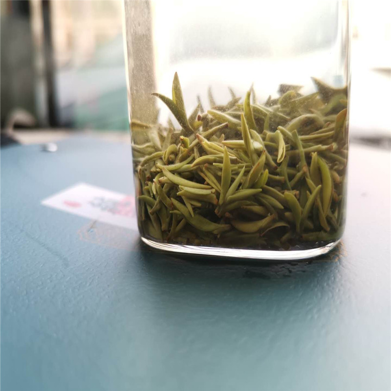 信阳毛尖深度好文——一个资深茶客谈论信阳毛尖内幕