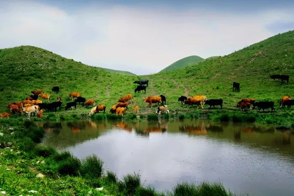 若你向往世外桃源，这个双旦来黔东南绝不后悔