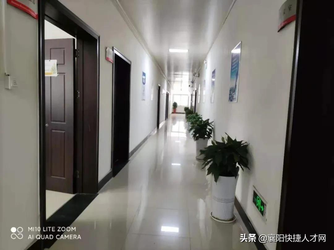 「周末双休」享五险、年终奖金、带薪休假！​大洲设计招聘啦