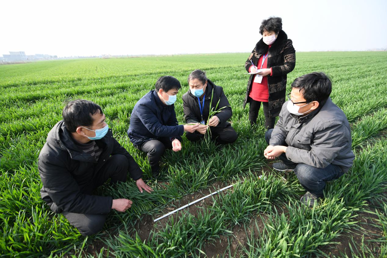 为疫情付出重大牺牲,为抗击疫情所付出的人和事