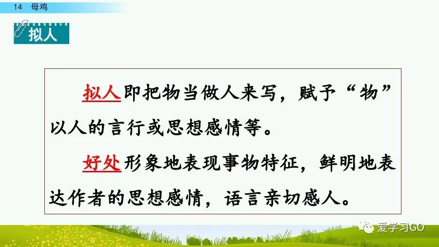 四年级下册语文母鸡课文重点讲解,四年级下册语文14课母鸡重点知识