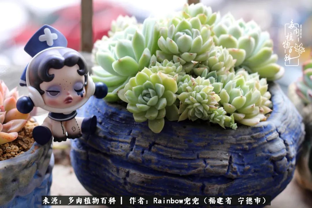 岁月无波澜余生不悲欢是啥意思,愿你岁月无波澜敬我余生无悲欢