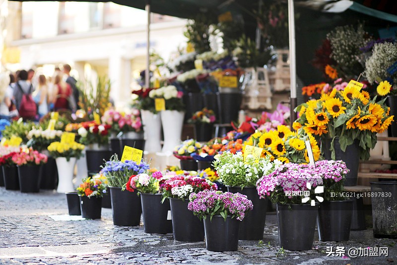 加盟鲜花店利润怎么样,鲜花店投资成本和利润