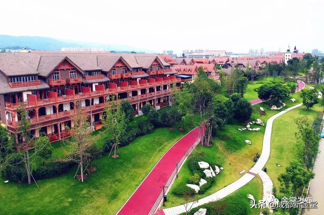 金堂人，你身边这条街已入选成都“最美街道”！