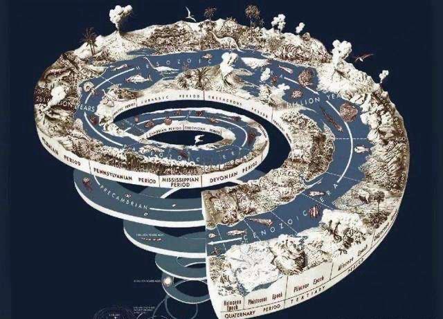 虱子存在的环境是哪样的,为啥阴虱比普通虱子难以去除