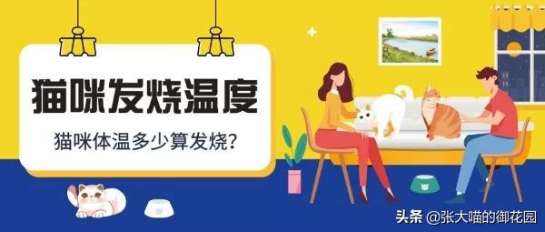 给猫咪测体温用什么温度计,猫咪发烧怎么给猫咪测体温