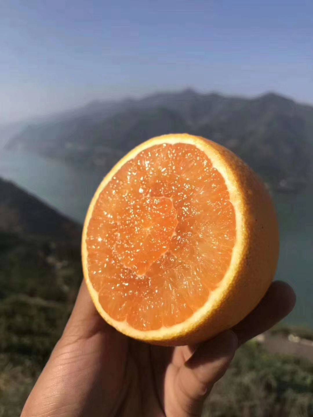 应季水果才能吃得更健康更安全,新鲜应季水果多种吃法