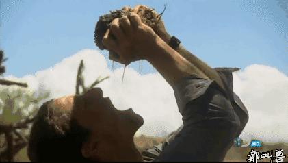 沙漠求生取水技巧,生存狂逃生技巧